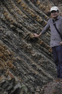 Flaggy, organic-rich sandstones at the top of the Pulaubalang Fm. Dr Ferian Anggara for scale.