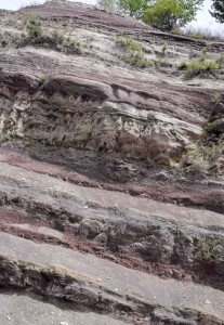 Outcrop of Lower Triassic rock (37.66861º, 111.94556º) in Shanxi Province. Dated by Prof  Zeng and Ms Choa at ~245 m.y. before present, just above the Triassic-Permian boundary. 