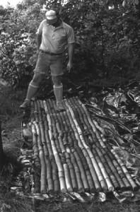 Ron Stanton examining core in Pennsylvania, Photo circa 1980 (© Tim A Moore)