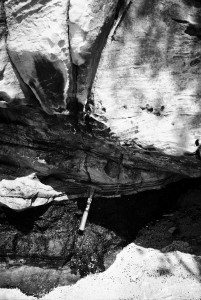 Cross-bedded sandstone overlying Main Seam equivalent, Tanjung Dewa, Kalimantan Selatan (Eocene Tanjung Formation)