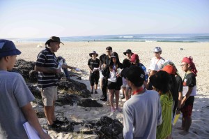 Professor David Gust explains turbidites at Cabarita Beach, NSW