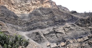 Outcrop of Cretaceous-Paleocene age coal-bearing Guaduas Formation