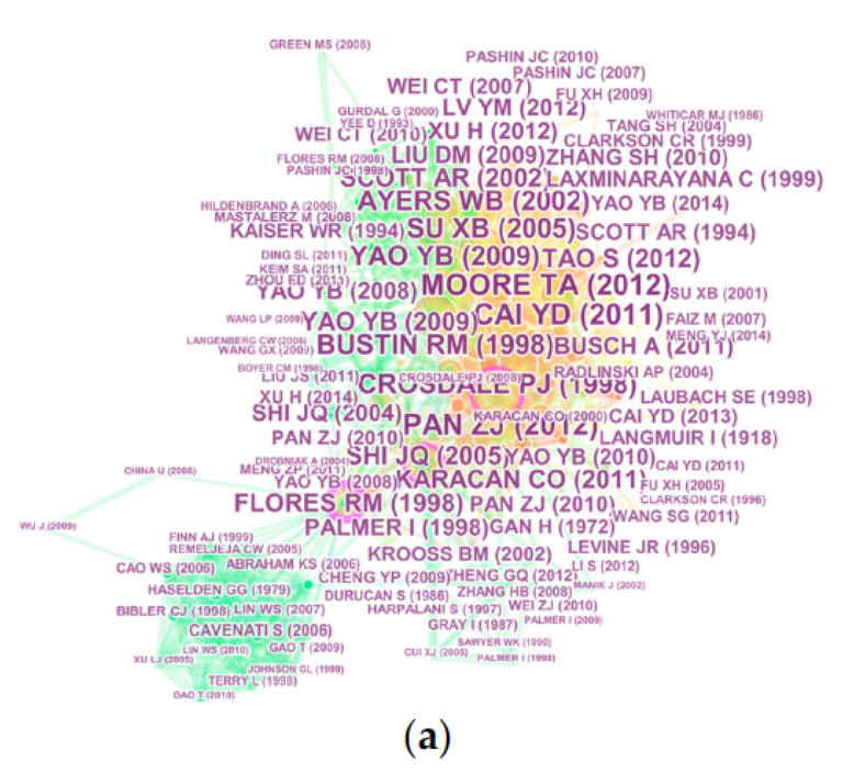 What is a consultant picture